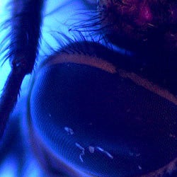 Microscópio UV PCE-MM 200UV