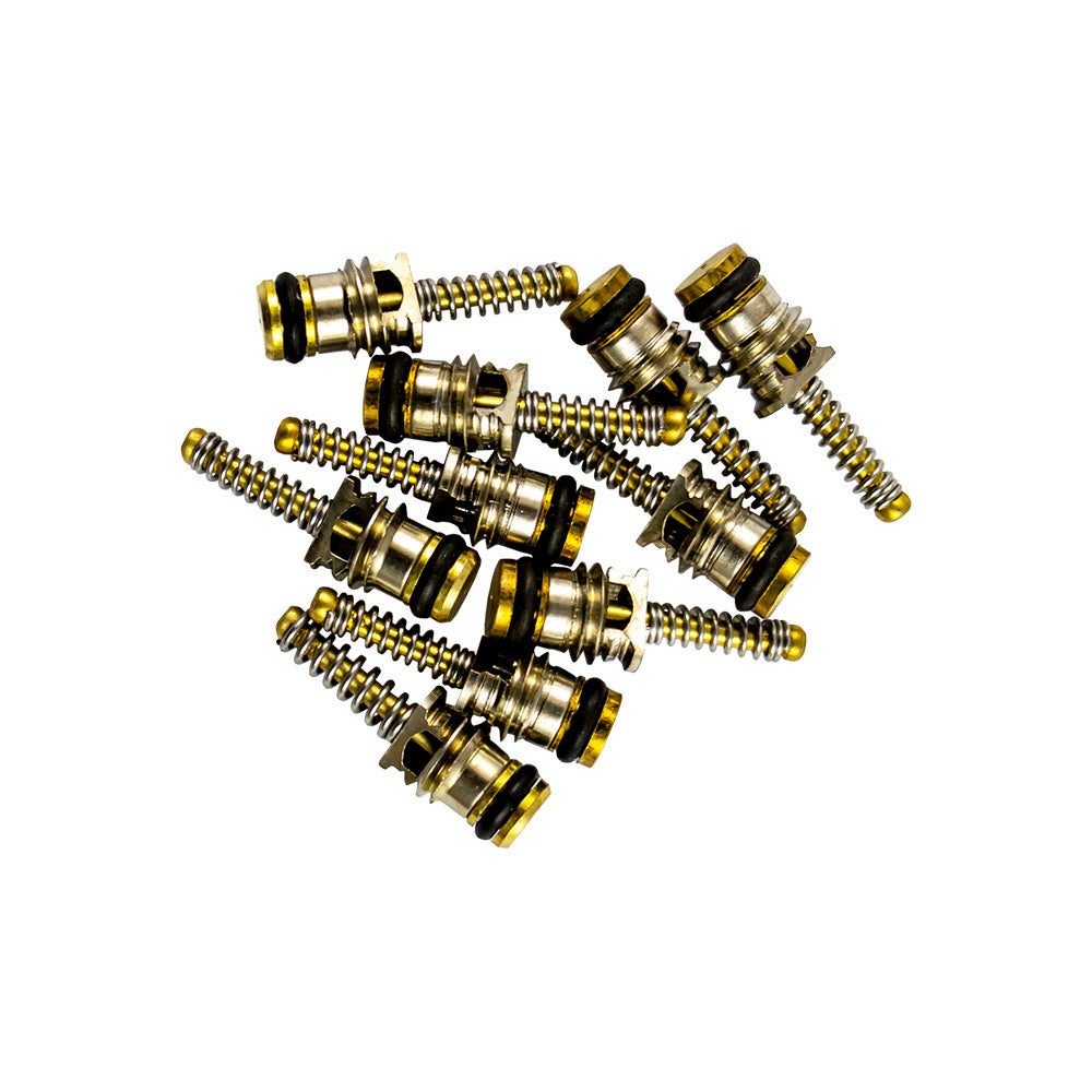 KIT de 10 Válvulas para REF. 53599 - 6X19 MM - JBM JBM, imagem do produto