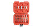 KIT EXTRACTOR PERFILES DAÑADOS TORX/HEX 19PCS (3074)