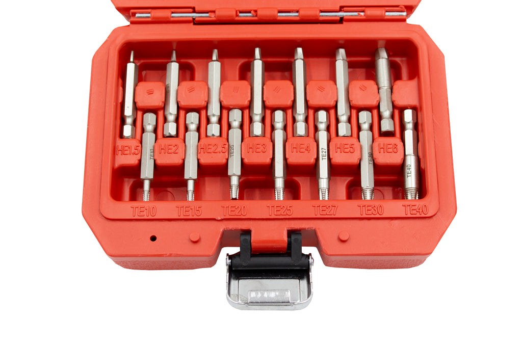 KIT EXTRACTOR PERFILES DAÑADOS TORX/HEX 19PCS (3074)