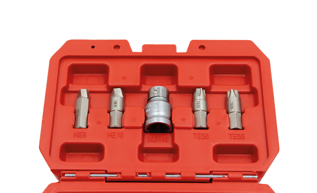 KIT EXTRACTOR PERFILES DAÑADOS TORX/HEX 19PCS (3074)