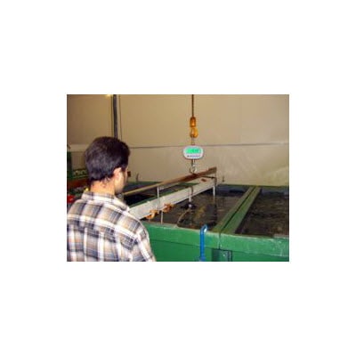 Balanza colgante PCE-CS 300 con certificado de calibración ISO