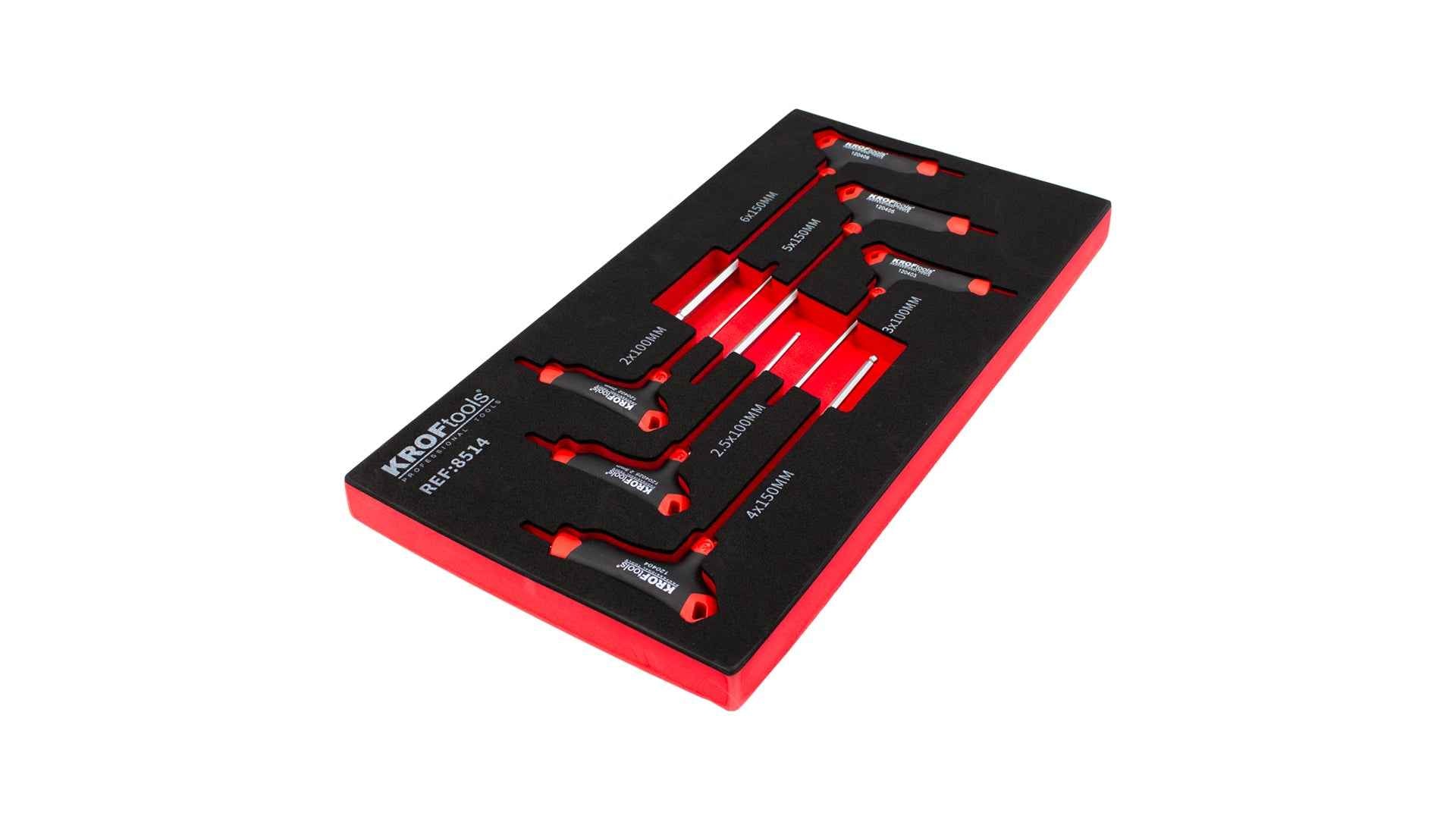 MODULO 006Pcs CHAVES T UMB.
