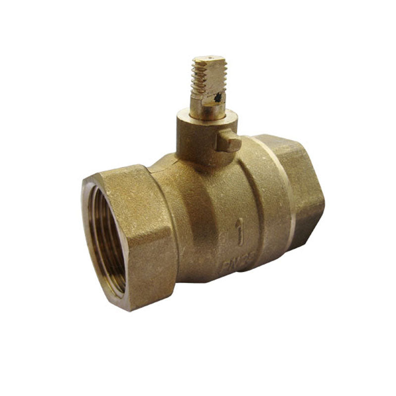 Acessório para Chuveiro de Emergência ACESSÓRIO PARA CHUVEIRO, válvula de latão de 1", todos os modelos para segurança profissional