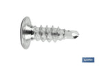 Parafuso Autoperfurante Cabeça extra-plana Phillips INOX