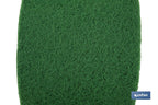 Rolo de esfregão verde